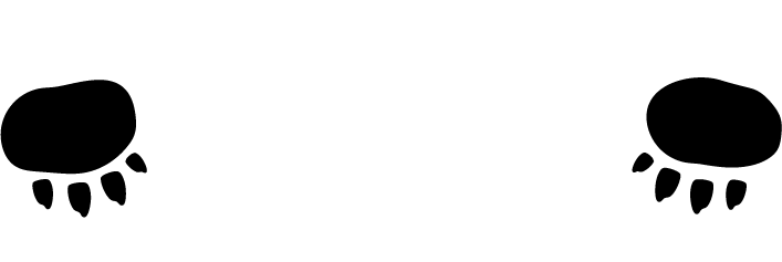 Kasyu Camp Rice